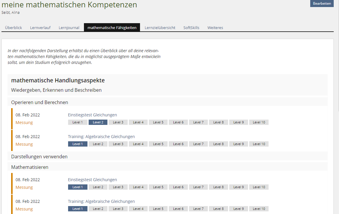 Screenshot Kompetenzdarstellung im Portfolio