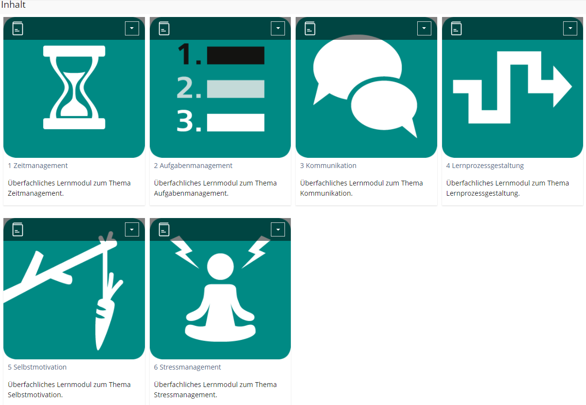 Screenshot Übersicht der überfachlichen Lernmodule